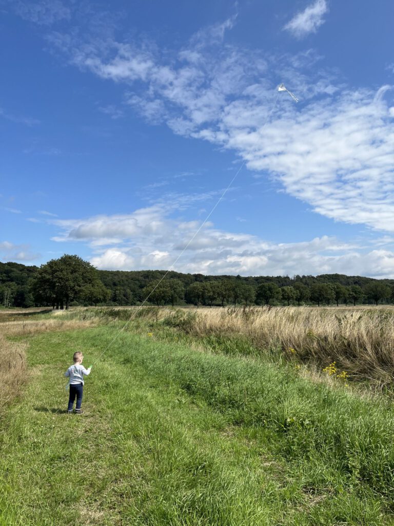Kind met een vlieger in een grasveld